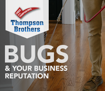 Bugs and Your Business Reputation