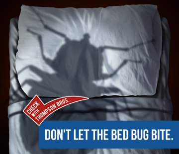 Don't Let The Bedbugs Bite