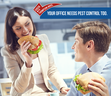 Businesses Need Pest Control Too