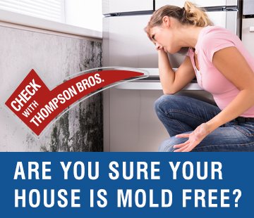 How to Spot Mold in Your Basement