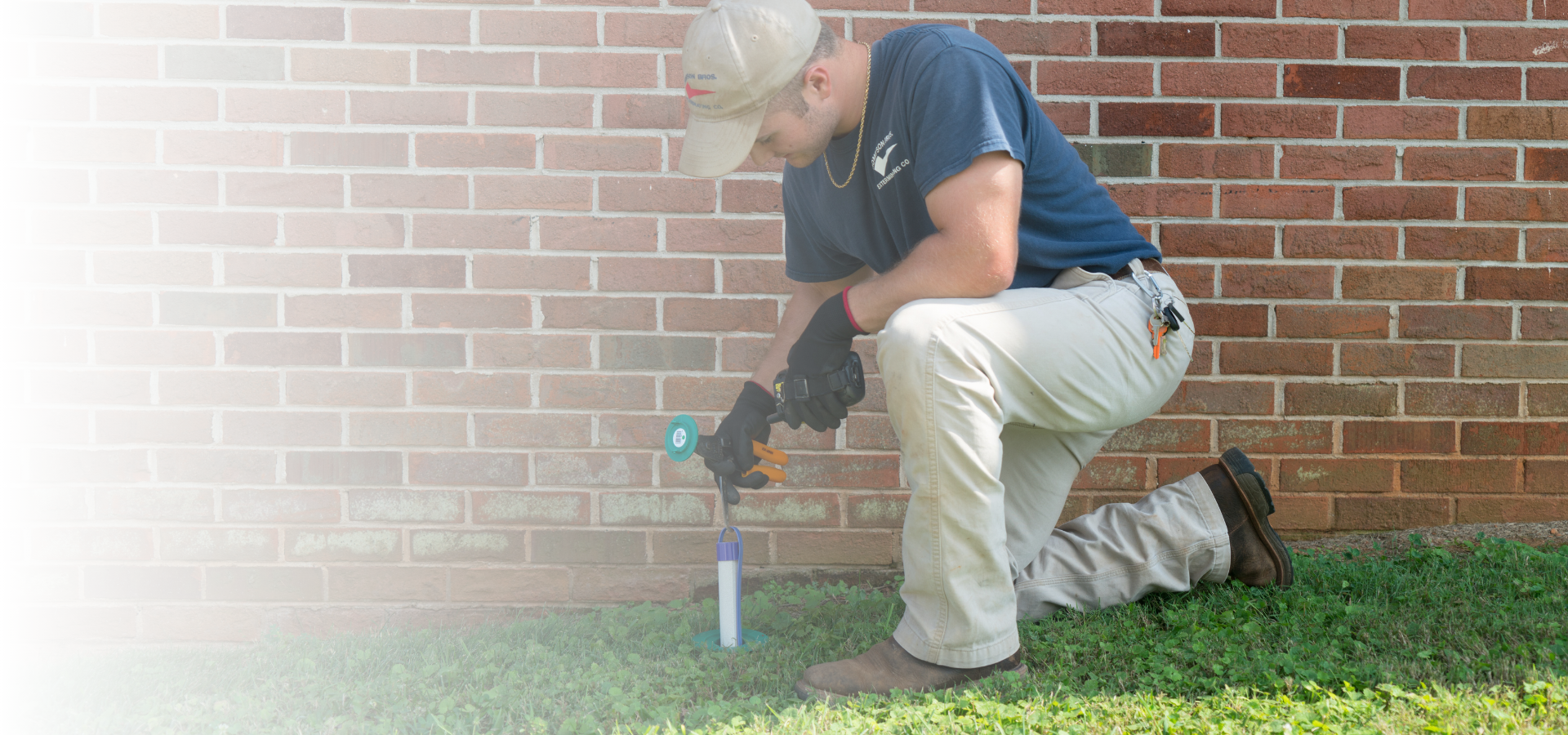 Spartanburg Termite Control