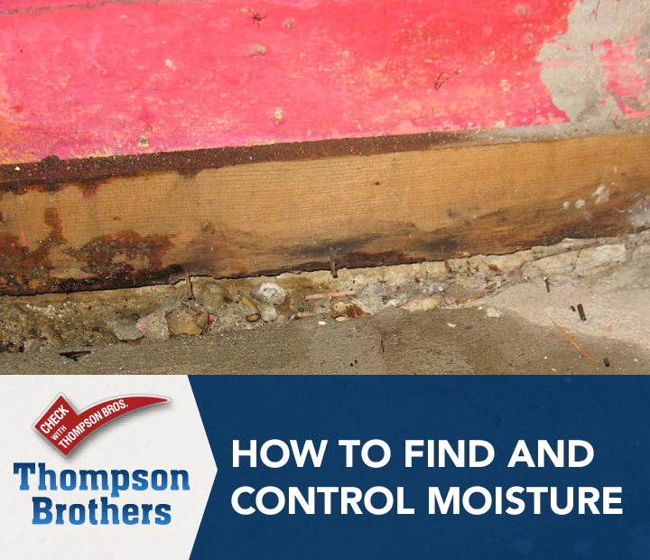 How to Find and Control Moisture Thompson Bros Exterminating