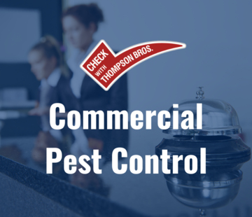 The Importance of Commercial Pest Control