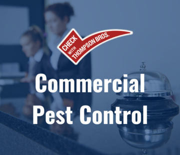 Pest Control For Bed Bugs