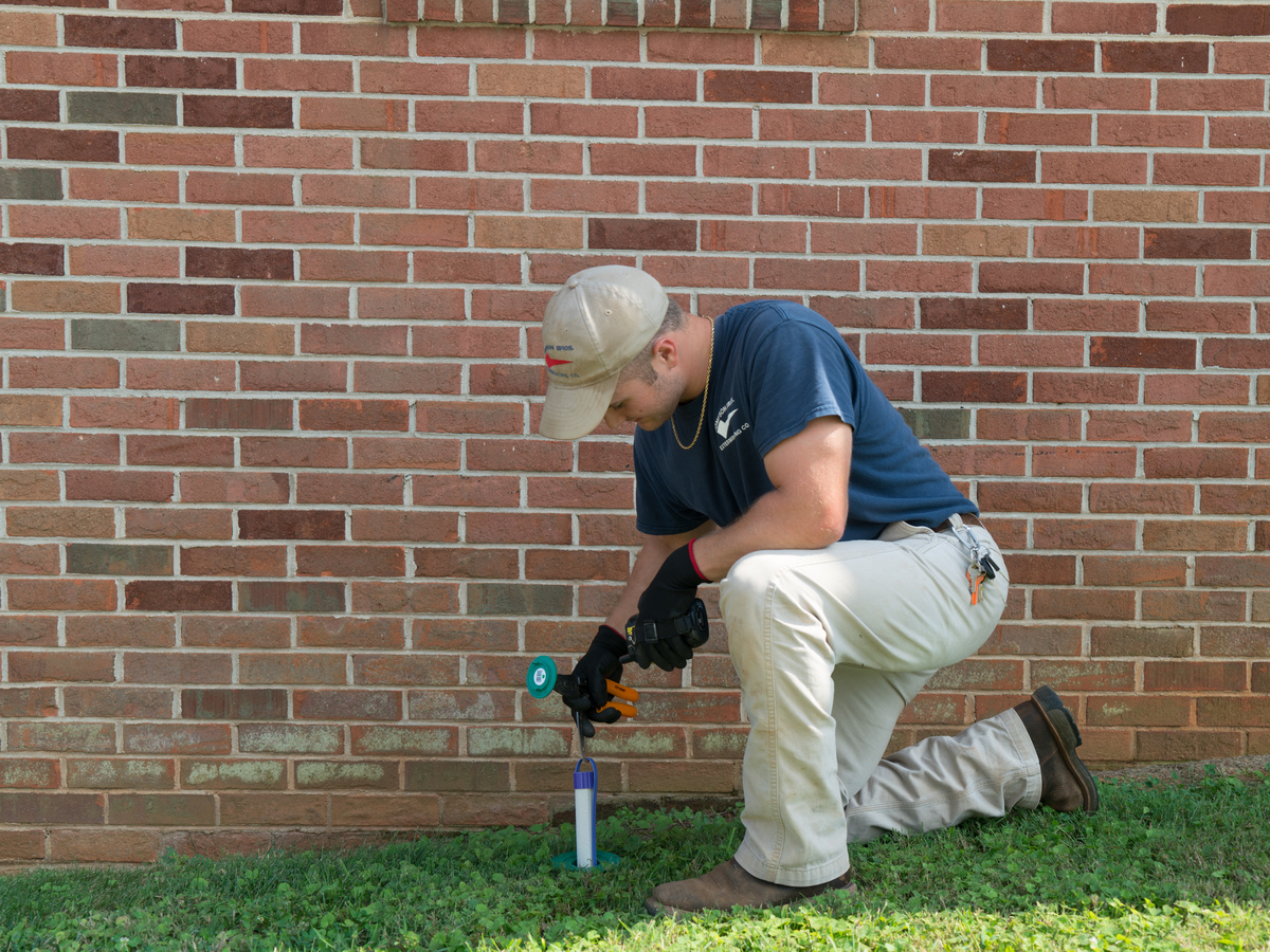 Tales of Termite Damage