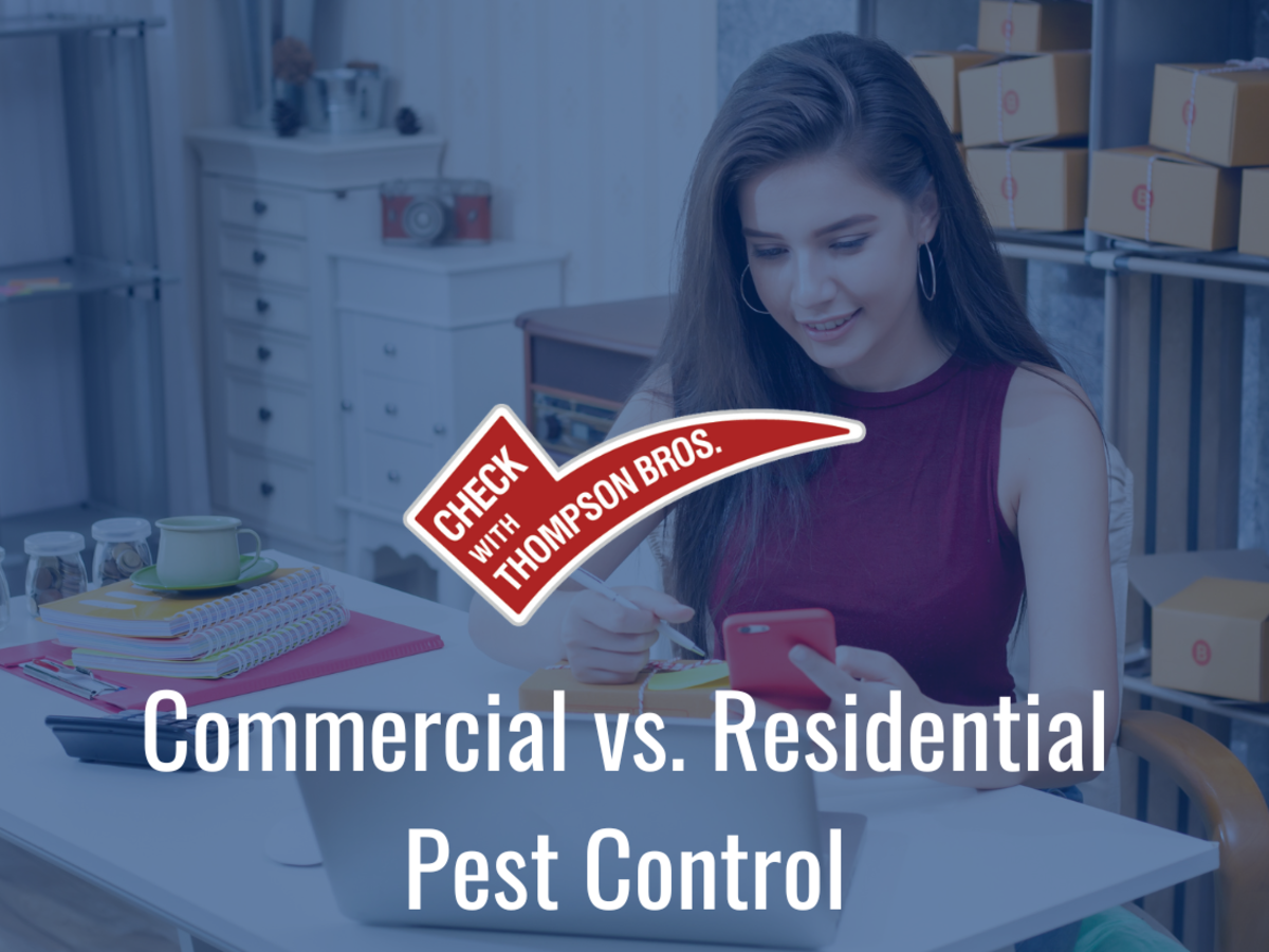 Pest Control for Residential and Commercial Purposes