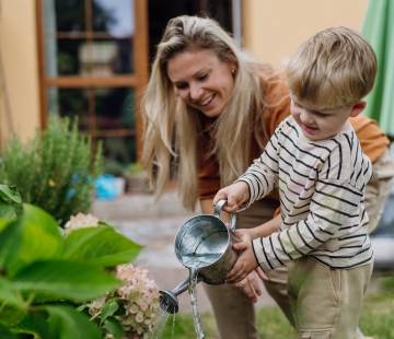 Summer Pest Control for Mosquitoes