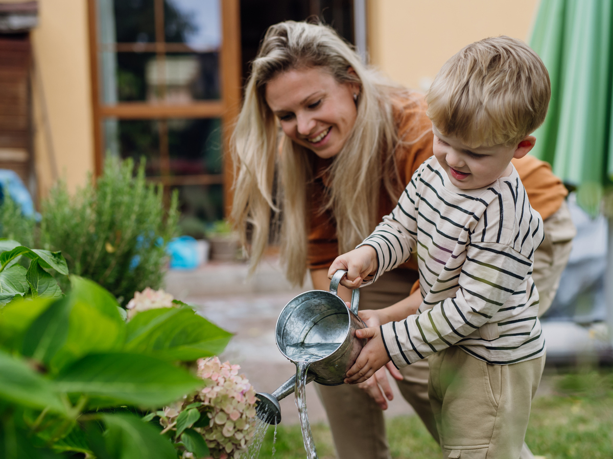 Summer Pest Control for Mosquitoes