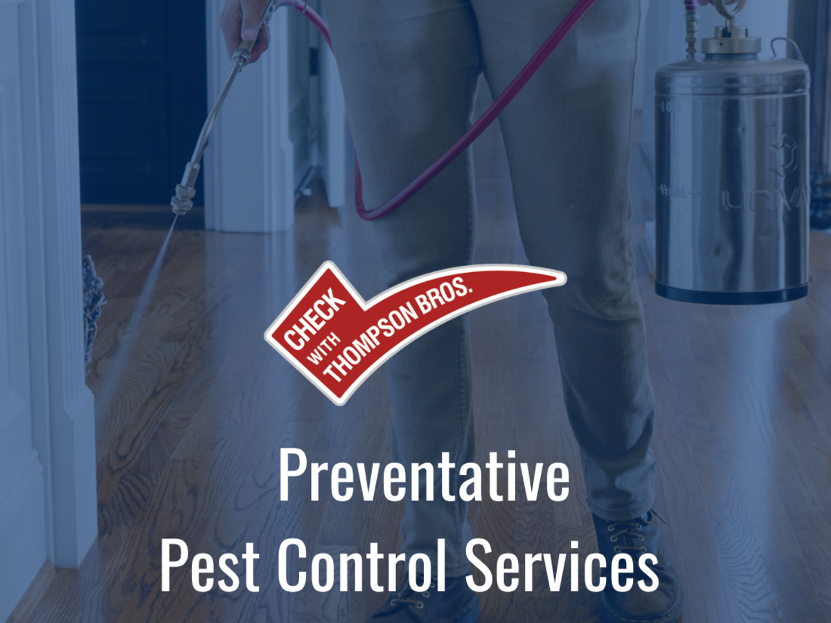 The Benefits of Preventative Pest Control