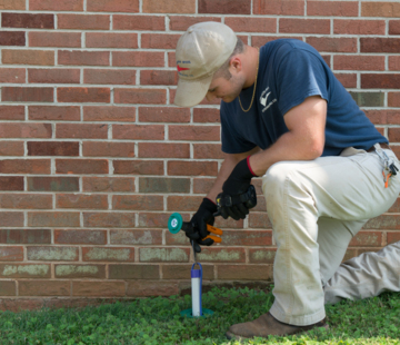 Tales of Termite Damage