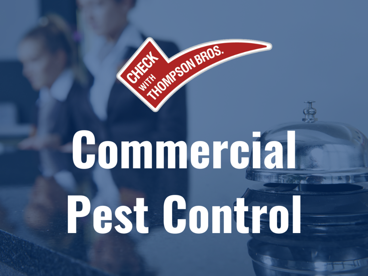 The Importance of Commercial Pest Control