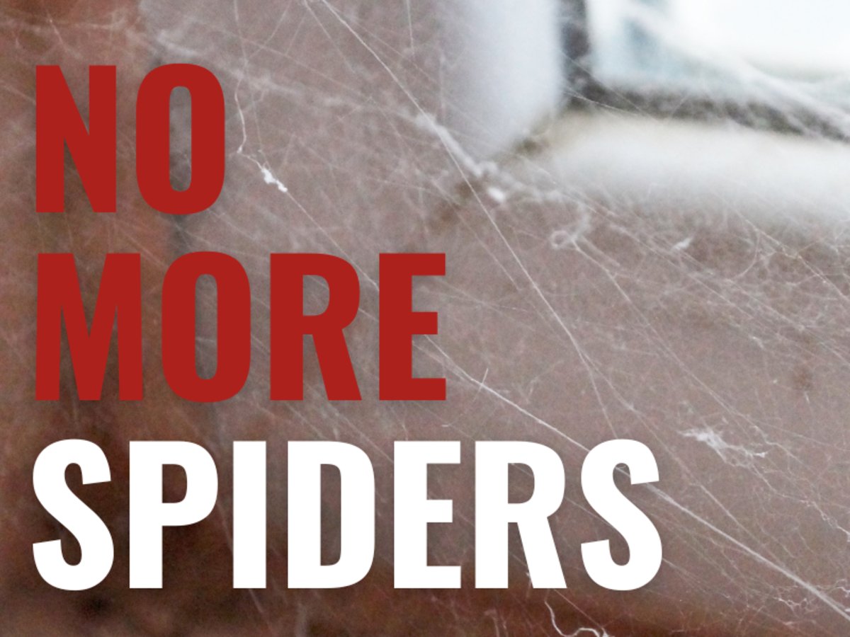 Getting spiders out of your House