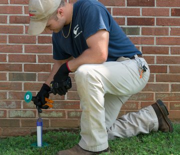 Why Every Home Needs a Termite Inspection 