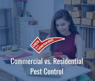 Pest Control for Residential and Commercial Purposes