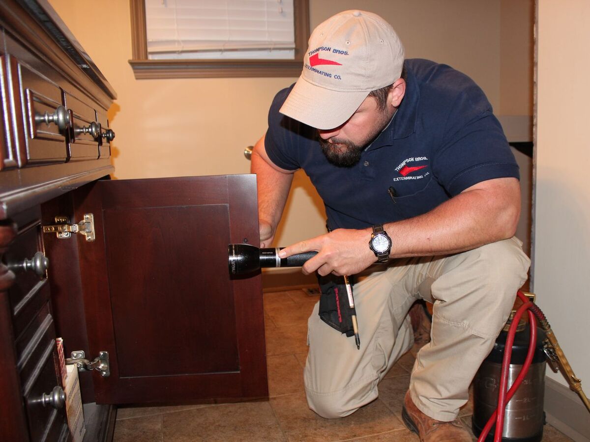 How to Deter Rodents from Infesting Your Home