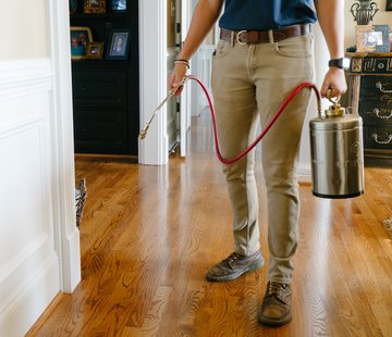 5 Reasons Why You Need an Exterminator Company for a Cockroach Problem
